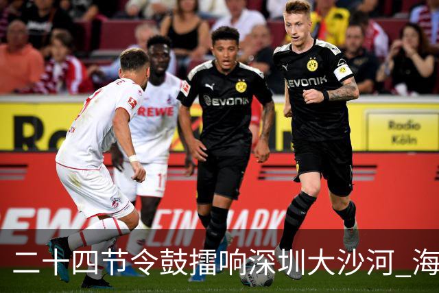 二十四节令鼓擂响深圳大沙河 海内外龙舟队竞渡