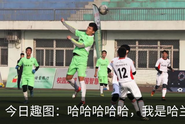 今日趣图：哈哈哈哈哈，我是哈兰德，进世界杯8强啦！