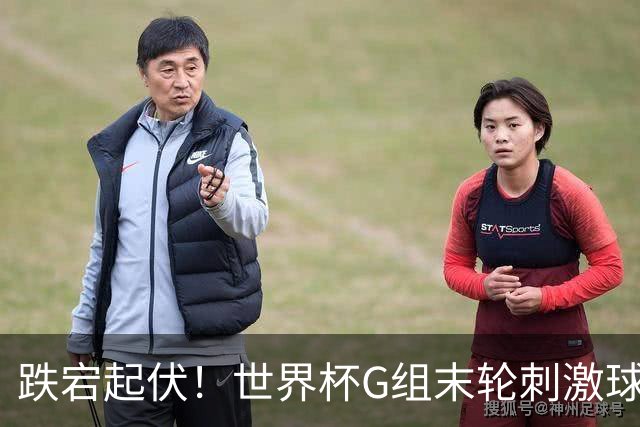 跌宕起伏！世界杯G组末轮刺激球迷心脏 伊朗狂喜过后遭打击
